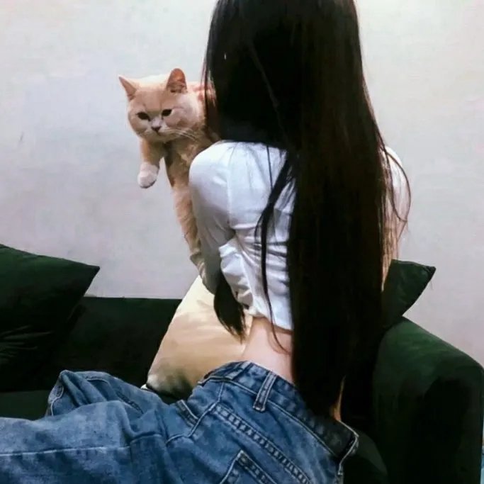 迷蝶
